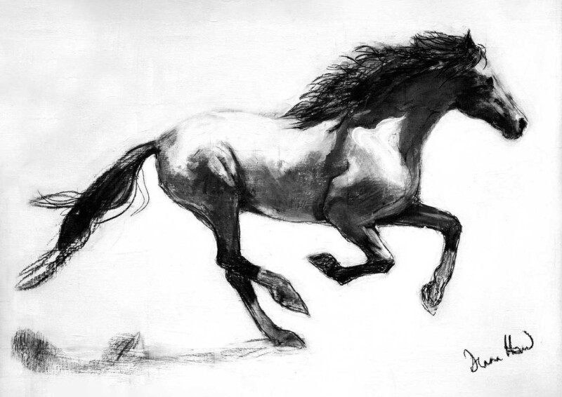 Image of Chasing the Wind by Diana Hand